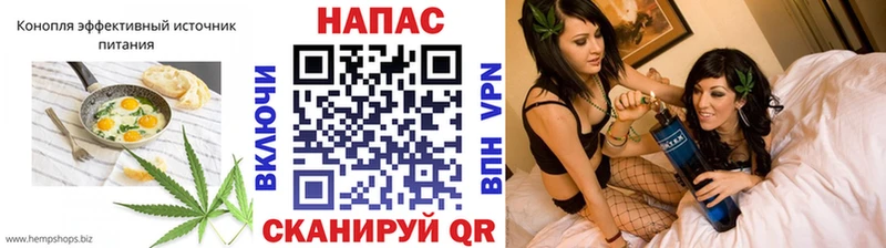 как найти   Пересвет  Canna-Cookies марихуана 