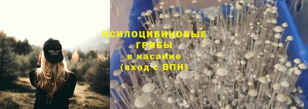 МДПВ Михайловск