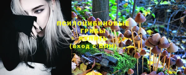 наркотики Михайлов