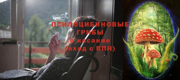 МДПВ Михайловск