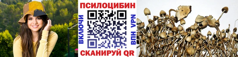 закладка  Пересвет  Галлюциногенные грибы Cubensis 